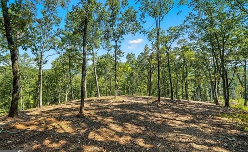 Land in Waleska, Georgia, United States 1