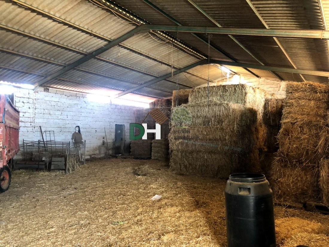 Land in Badajoz, Extremadura, Spain 2 - 13111398