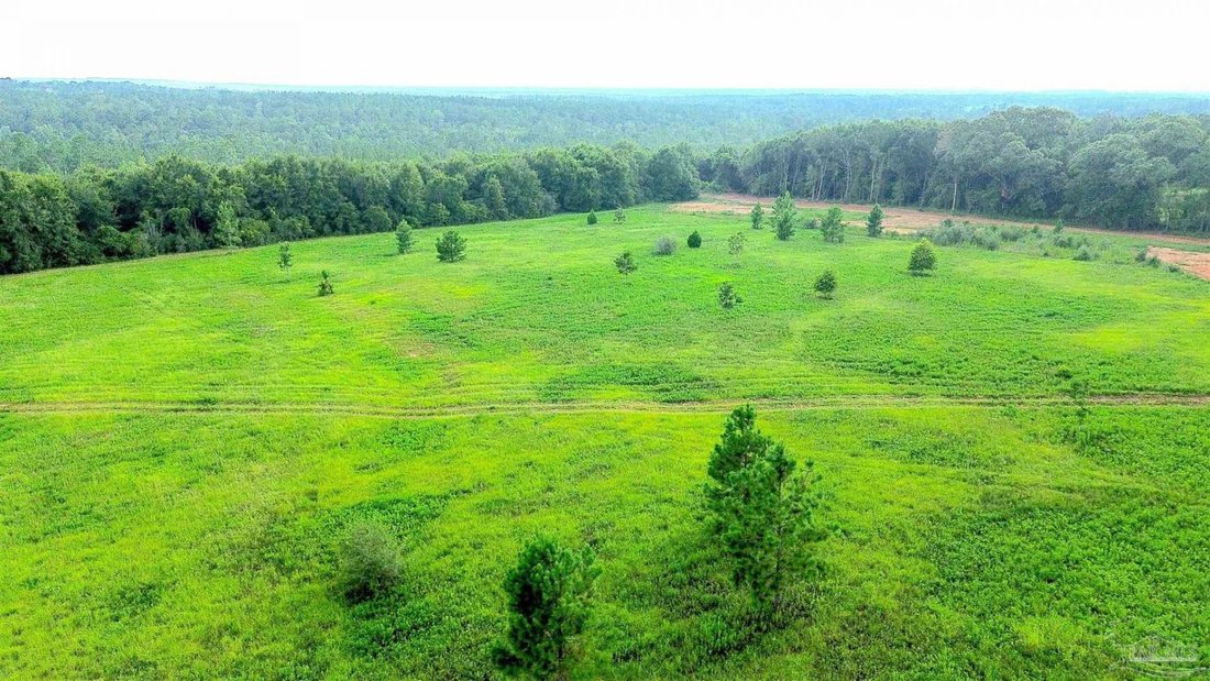 Land in Jay, Florida, United States 2 - 18619863