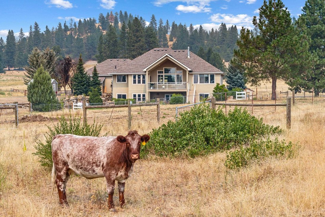 House in Chattaroy, Washington, United States 4 - 18616989