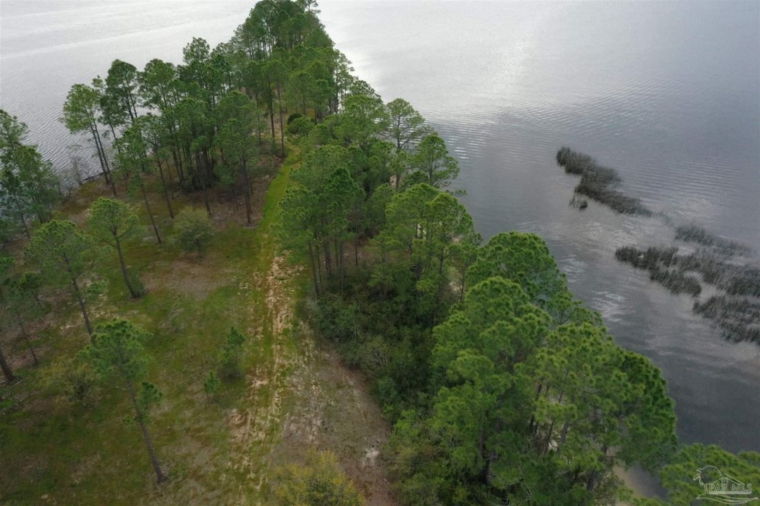 Land in Milton, Florida, United States 4 - 18619820