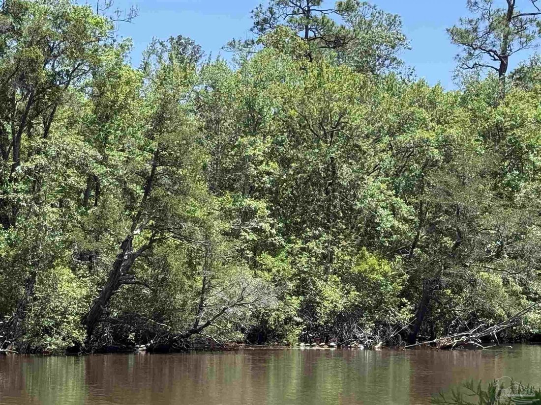 Land in Milton, Florida, United States 3 - 18619823