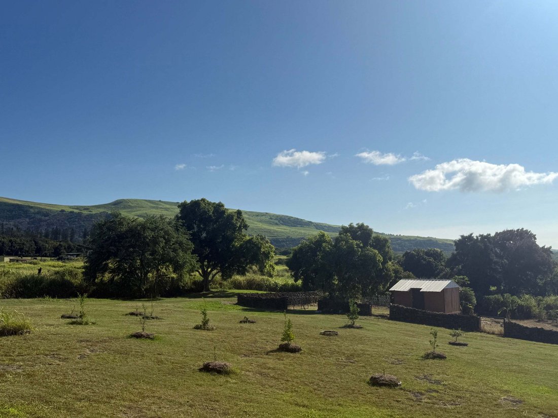 Farm Ranch in Naalehu, Hawaii, United States 4 - 18620118