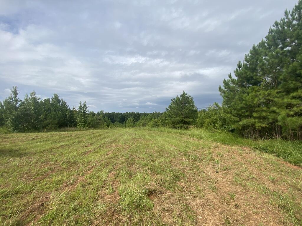 Land in Shiloh, Georgia, United States 1 - 18620629