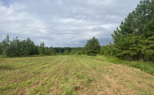 Land in Shiloh, Georgia, United States 1