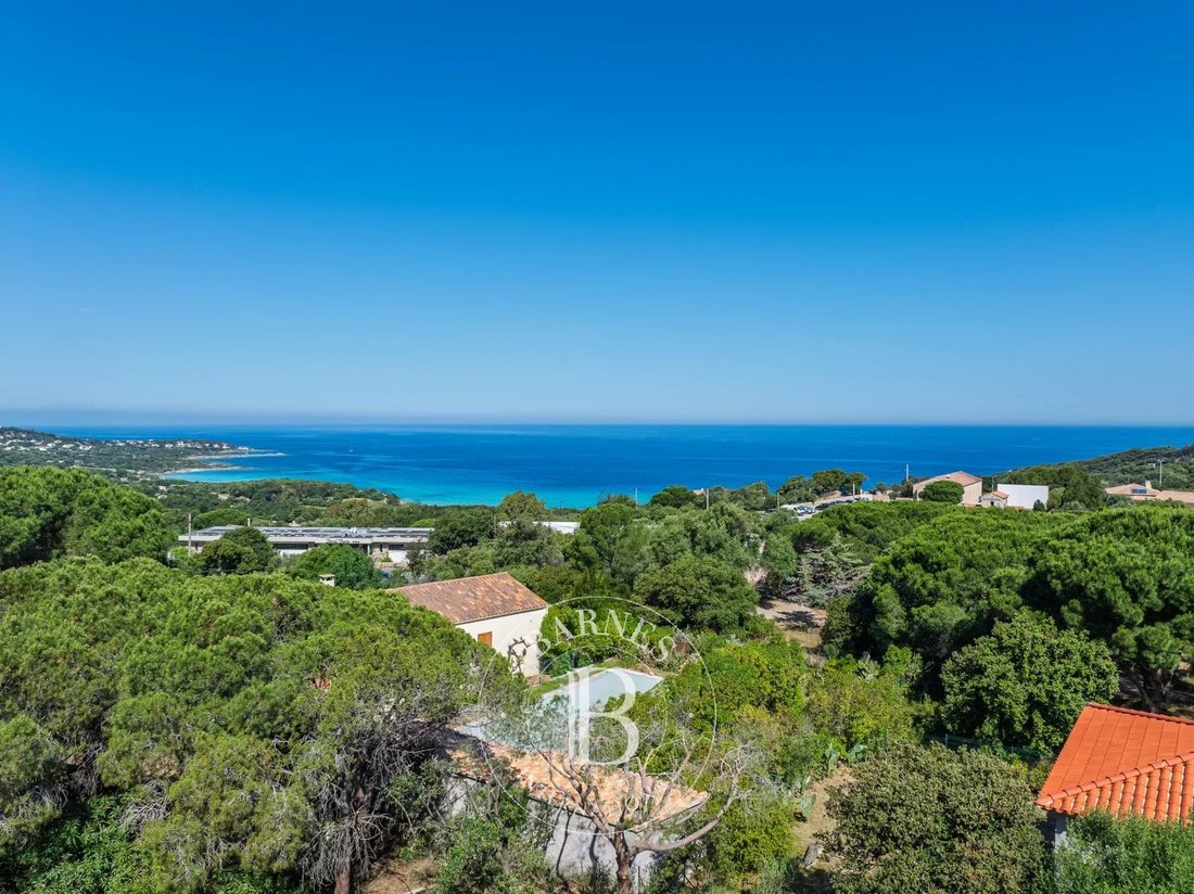 Land in L'Île-Rousse, Corsica, France 1 - 17930862