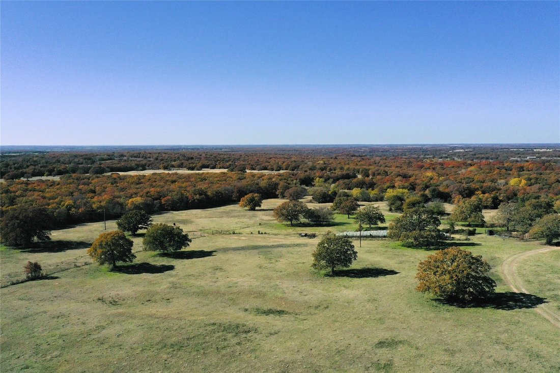 Farm Ranch in Forestburg, Texas, United States 2 - 18618803