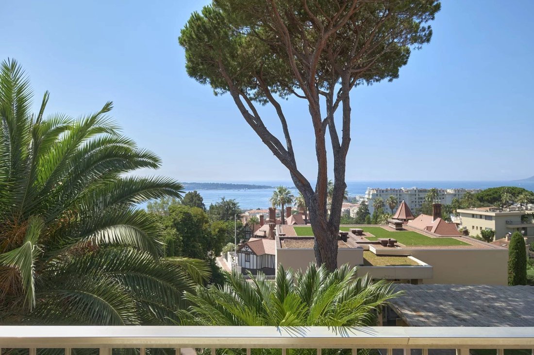 Apartment in Cannes, Provence-Alpes-Côte d'Azur, France 1 - 16466948