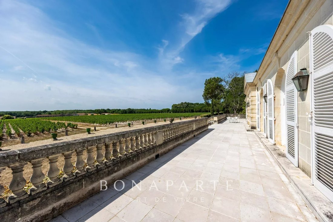 Castle in Saint-Laurent-Medoc, Nouvelle-Aquitaine, France 3 - 18526526