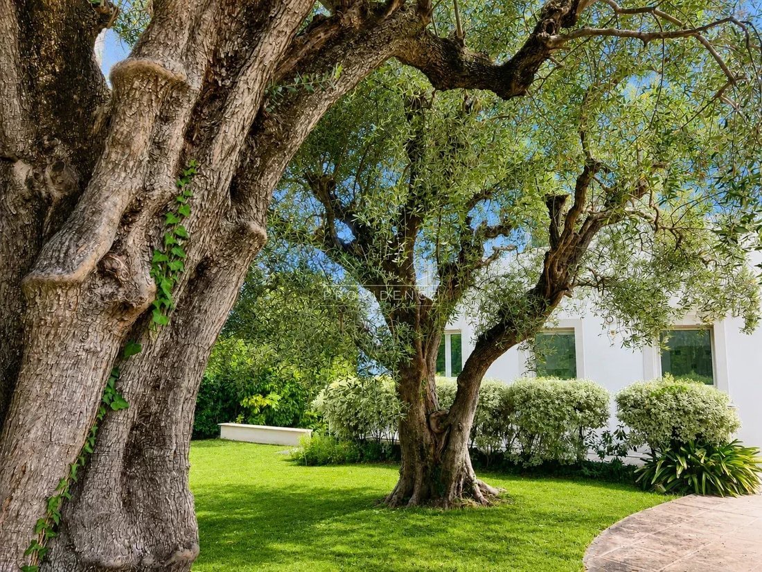 Casa a Cannes, Provenza-Alpi-Costa Azzurra, Francia 4 - 18622435