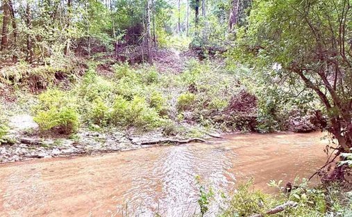 Terreno en Jay, Florida, Estados Unidos 1