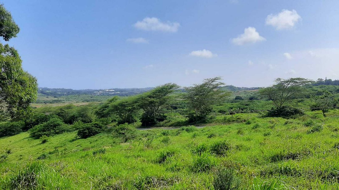 Land in Dolphin Coast, KwaZulu-Natal, South Africa 2 - 18618010