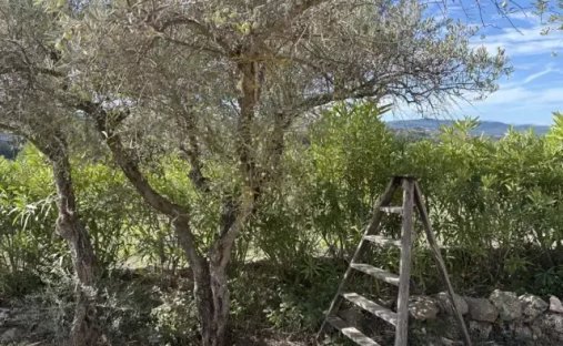 Finca en Carcès, Provenza-Alpes-Costa Azul, Francia 1