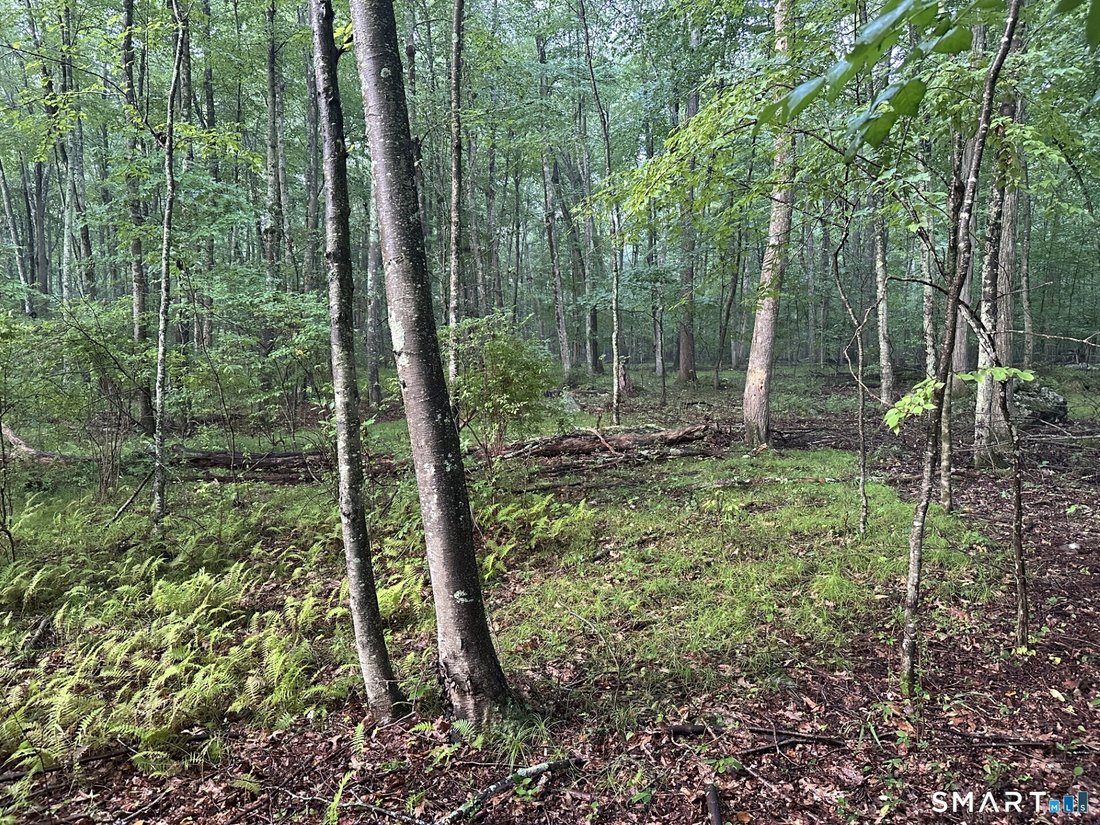 Land in Monroe, Connecticut, United States 2 - 18623869