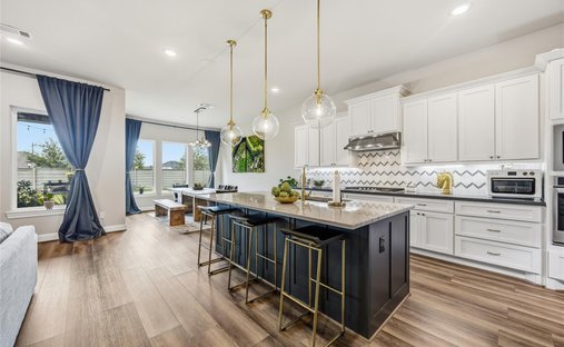 House in Rosharon, Texas, United States 1