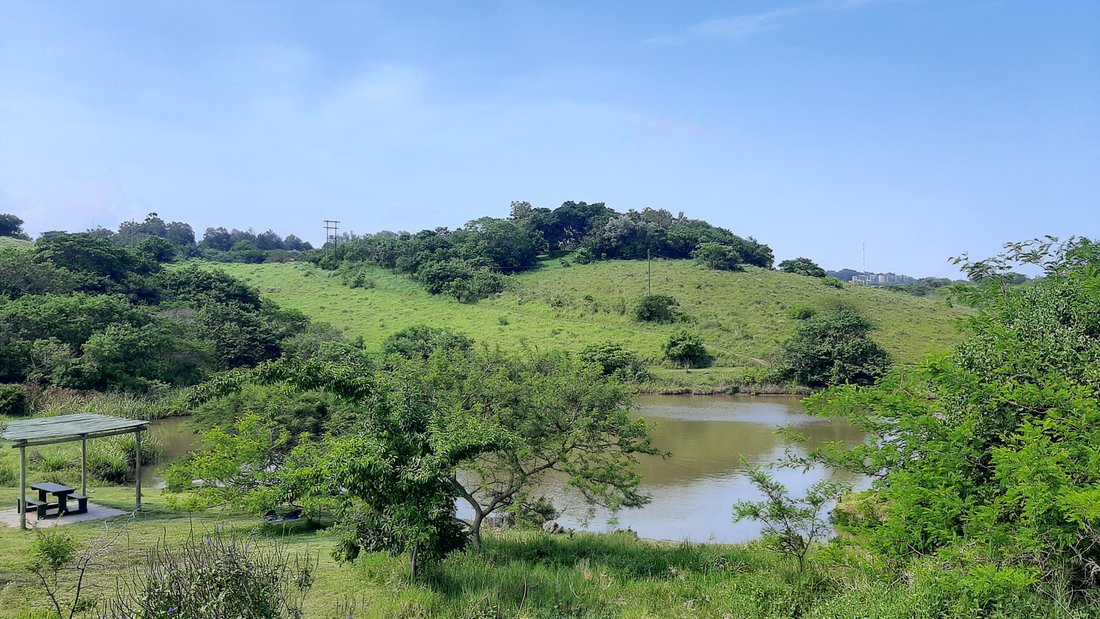 Land in Dolphin Coast, KwaZulu-Natal, South Africa 1 - 18618010