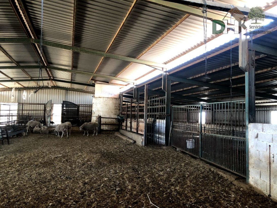 Land in Badajoz, Extremadura, Spain 1 - 13111398