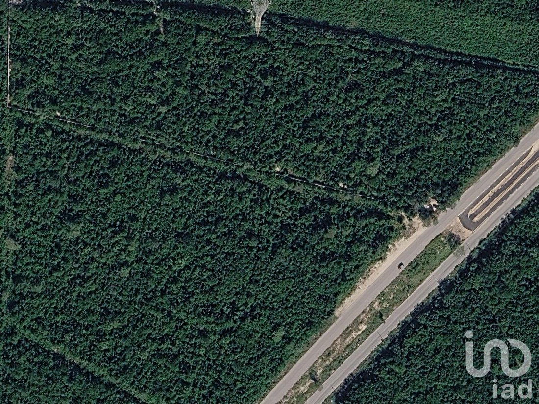 Land in Cancún, Quintana Roo, Mexico 5 - 18617698