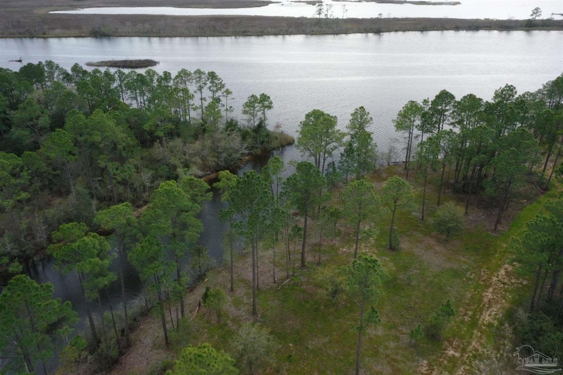 Land in Milton, Florida, United States 3 - 18619820