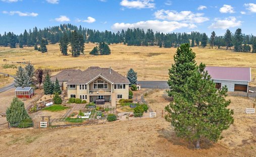House in Chattaroy, Washington, United States 1