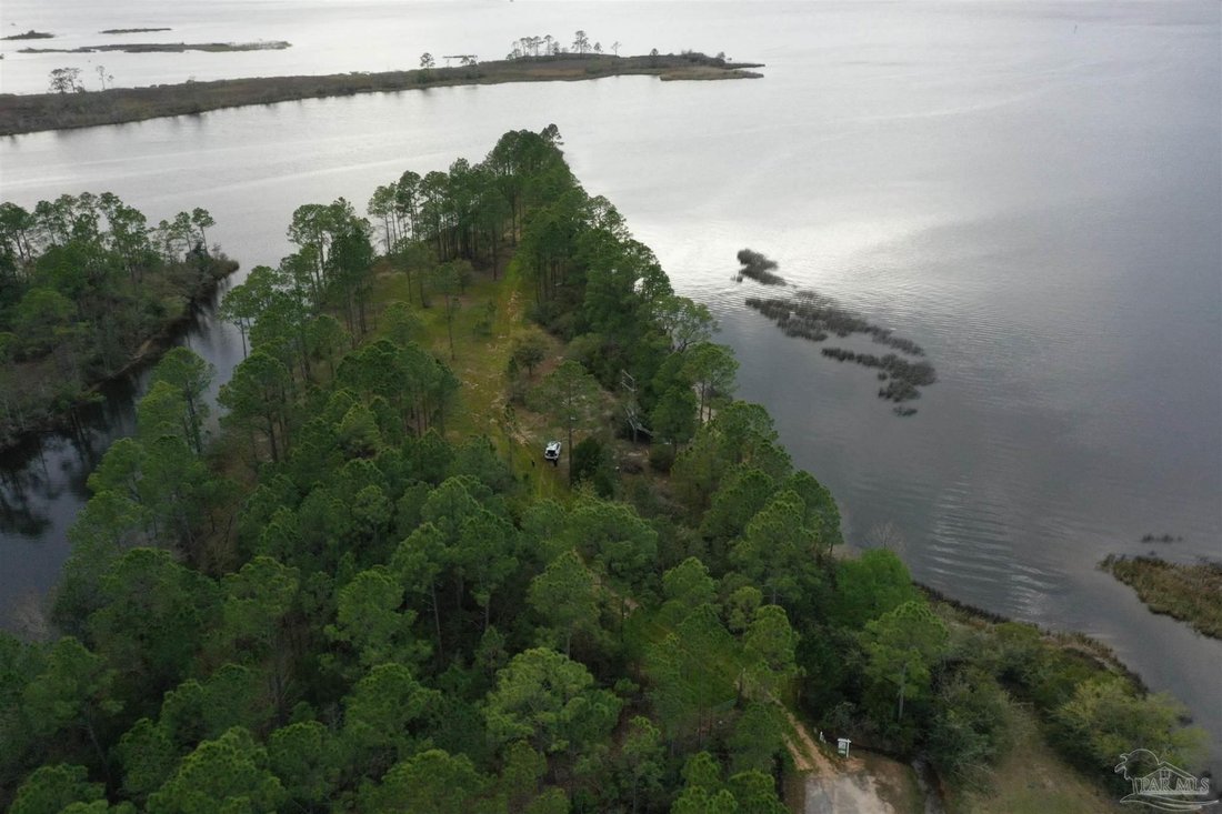 Land in Milton, Florida, United States 5 - 18619820