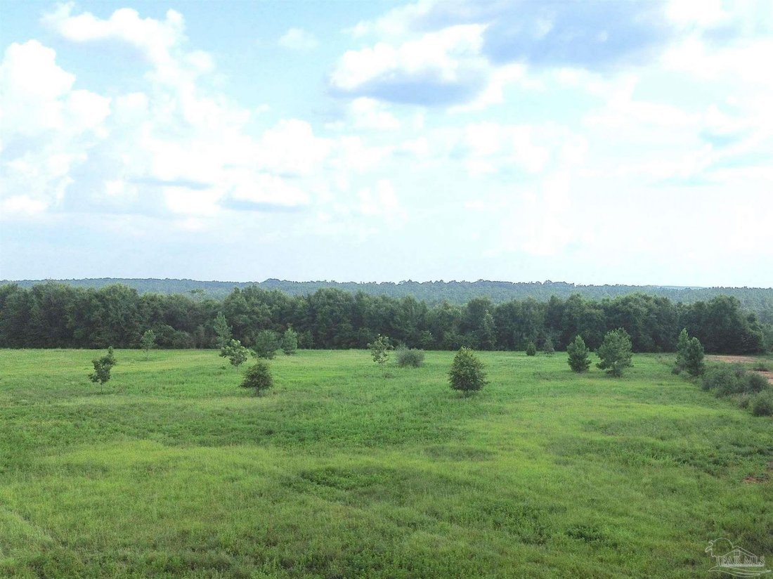 Land in Jay, Florida, United States 4 - 18619863
