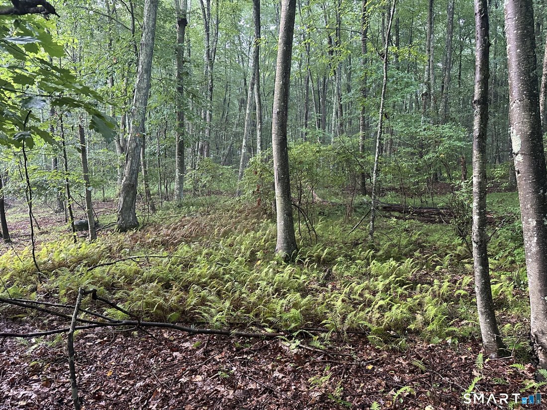 Land in Monroe, Connecticut, United States 3 - 18623869