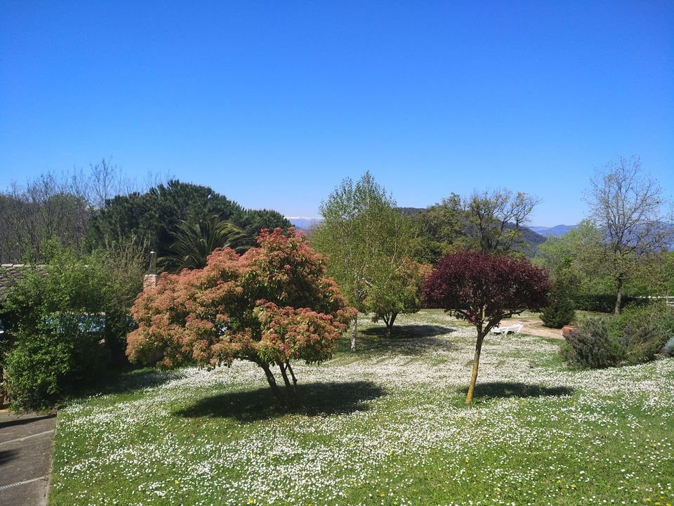 Finca in Banyoles (District), Banyoles, Spain 4 - 18351170