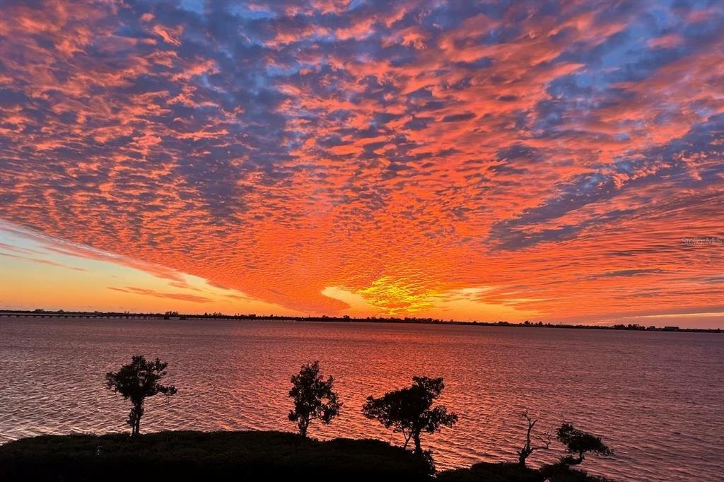 Condo in Bradenton, Florida, United States 4 - 18621359