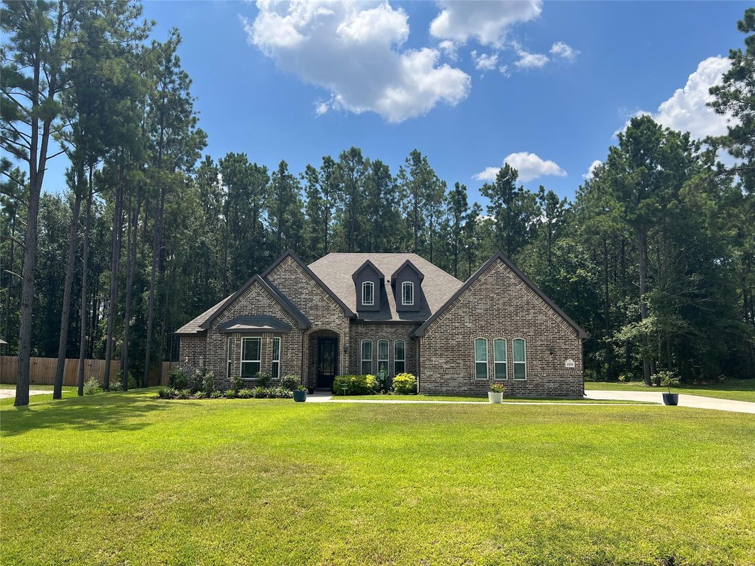 House in Conroe, Texas, United States 1 - 18618944