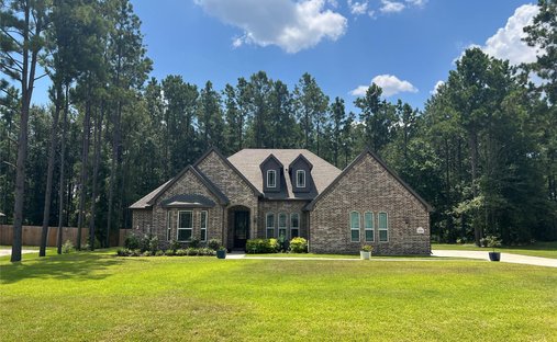 House in Conroe, Texas, United States 1