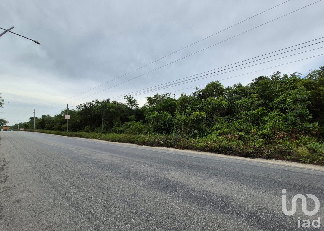 Land in Cancún, Quintana Roo, Mexico 3 - 18617698