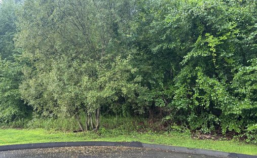 Land in Monroe, Connecticut, United States 1