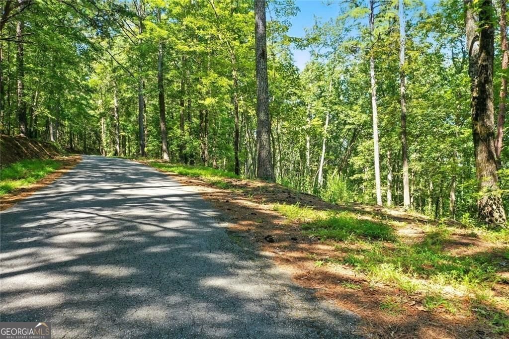 Land in Waleska, Georgia, United States 2 - 16110644