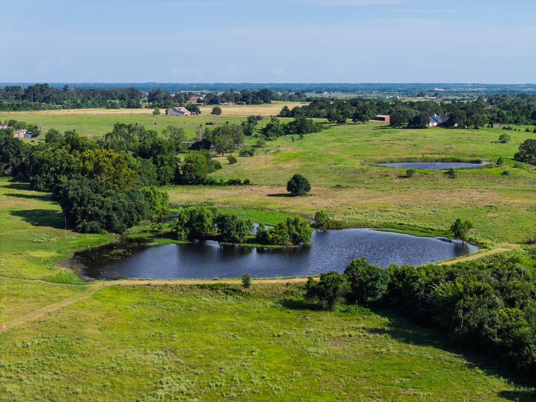 Bellville, Texas, United States 5 - 18615906