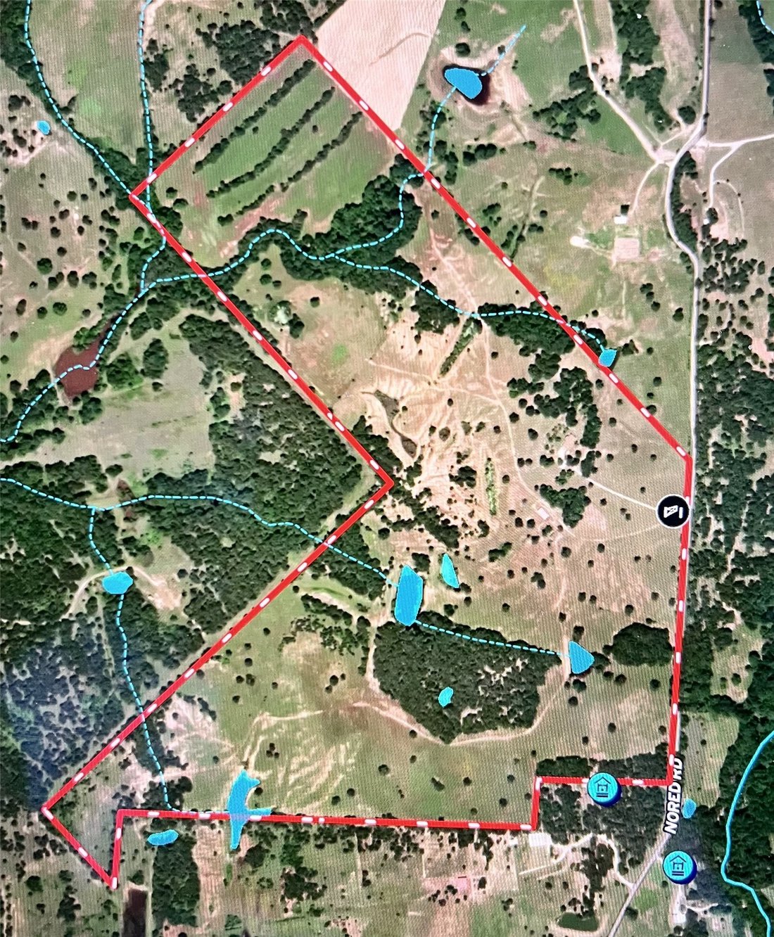 Farm Ranch in Forestburg, Texas, United States 1 - 18618803