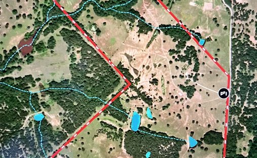 Farm Ranch in Forestburg, Texas, United States 1