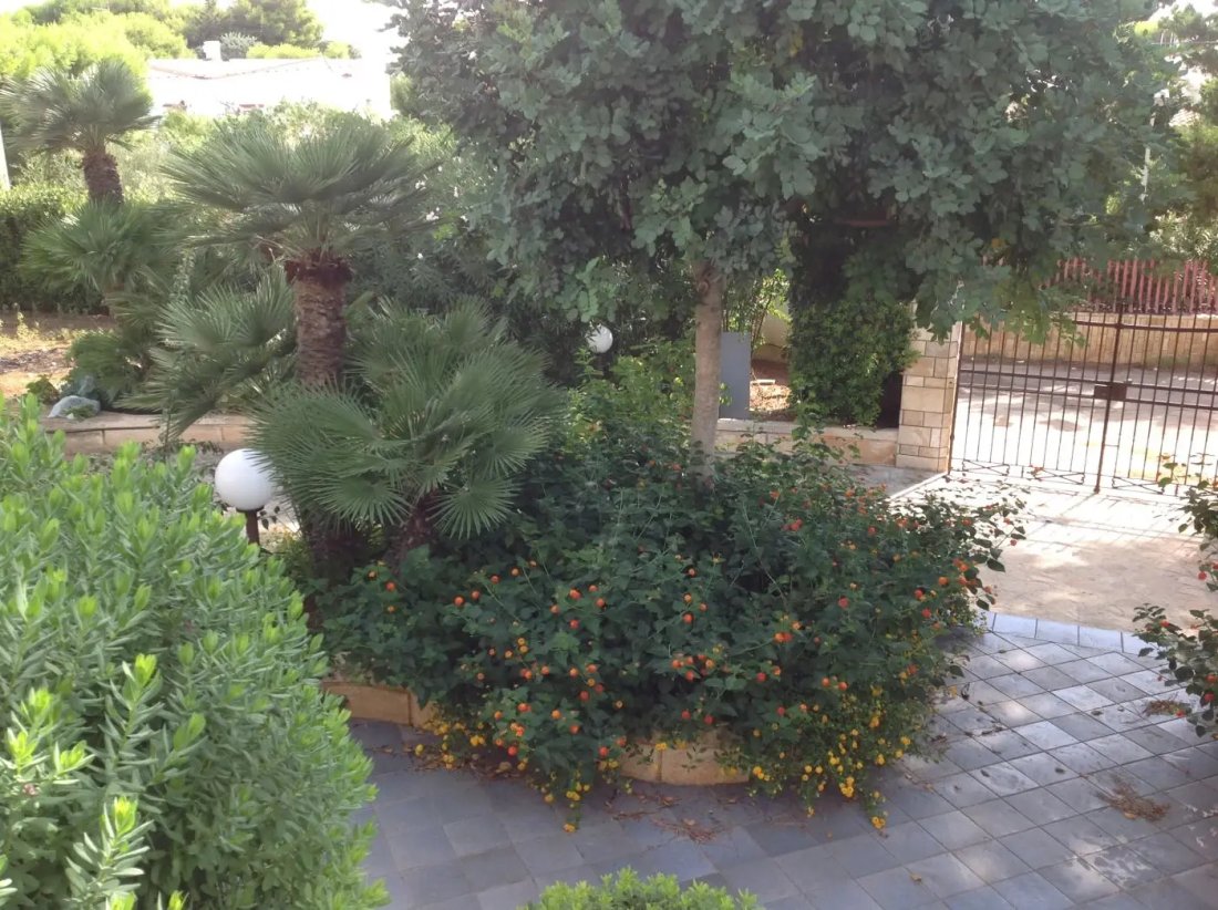 Villa in Ludovico Street - Corso Umberto I - Vittorio Emanuele Street, Ostuni, Apulia 3 - 16623694