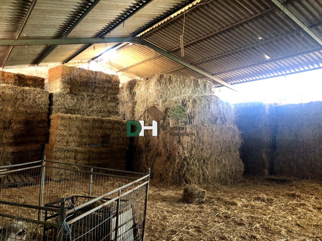 Land in Badajoz, Extremadura, Spain 5 - 13111398