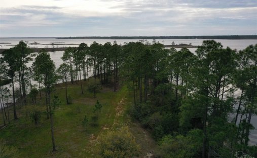 Terrain à Milton, Floride, États-Unis 1