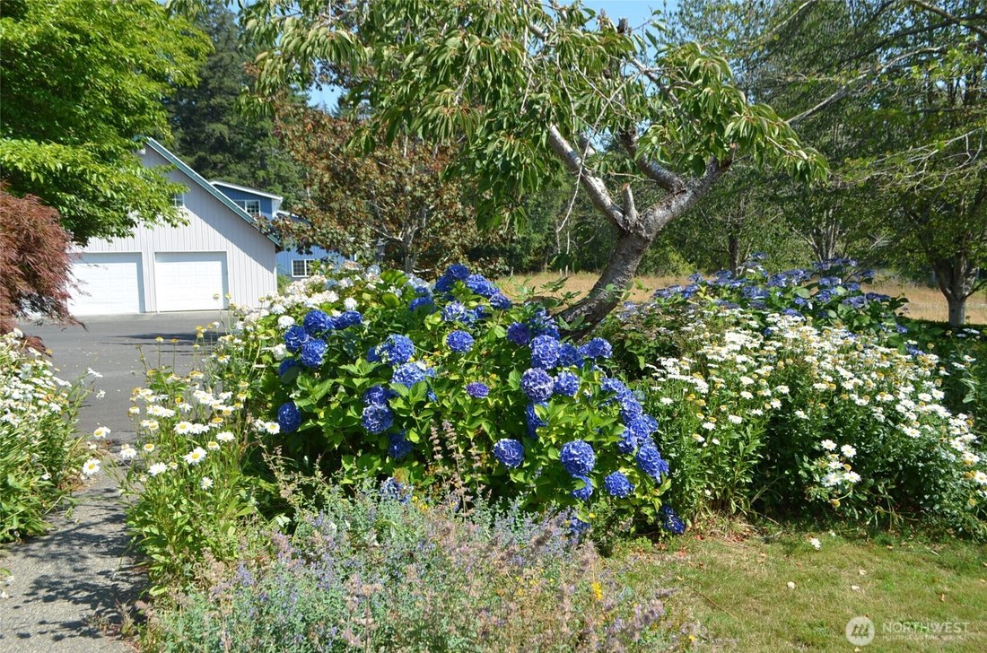 House in Bellingham, Washington, United States 2 - 18620021