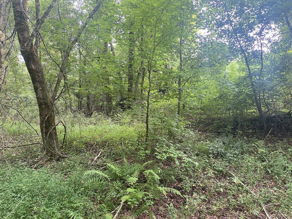 Land in Shiloh, Georgia, United States 4 - 18620629
