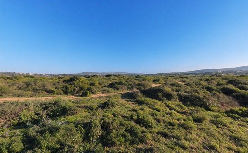 Farm Ranch in Gqeberha, Eastern Cape, South Africa 1