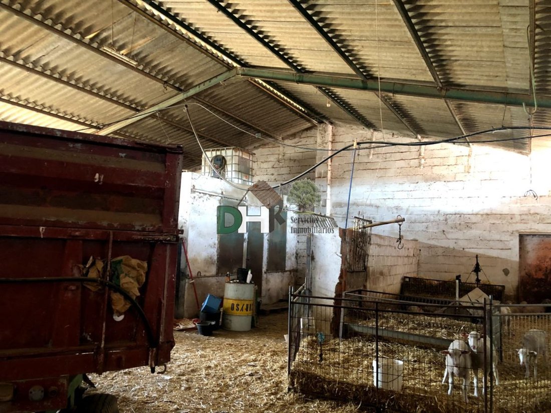 Land in Badajoz, Extremadura, Spain 4 - 13111398