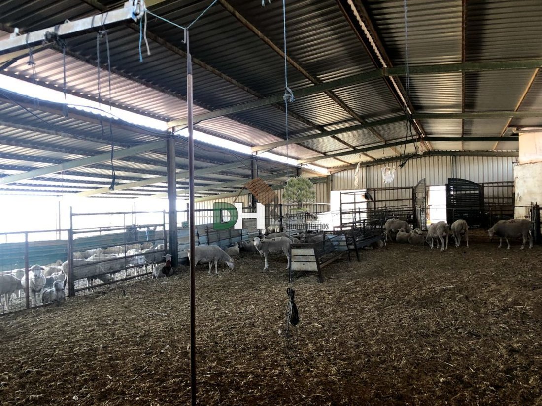 Land in Badajoz, Extremadura, Spain 3 - 13111398