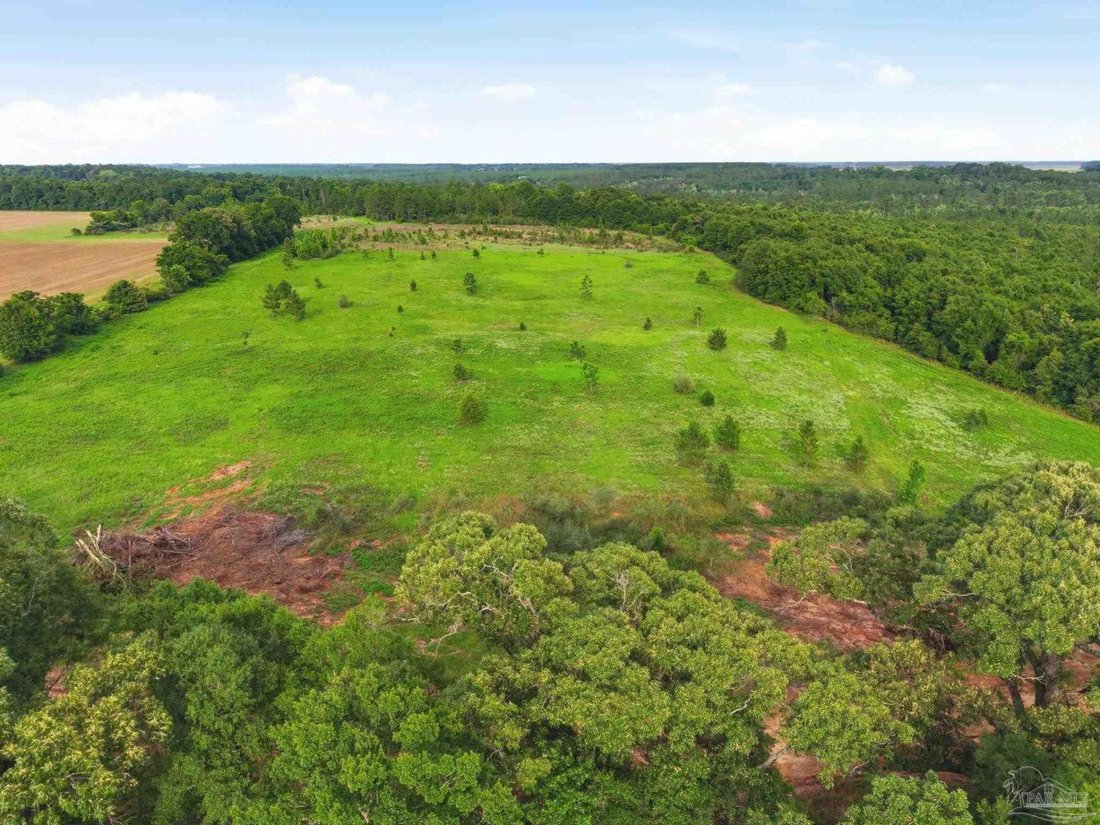 Land in Jay, Florida, United States 5 - 18619863