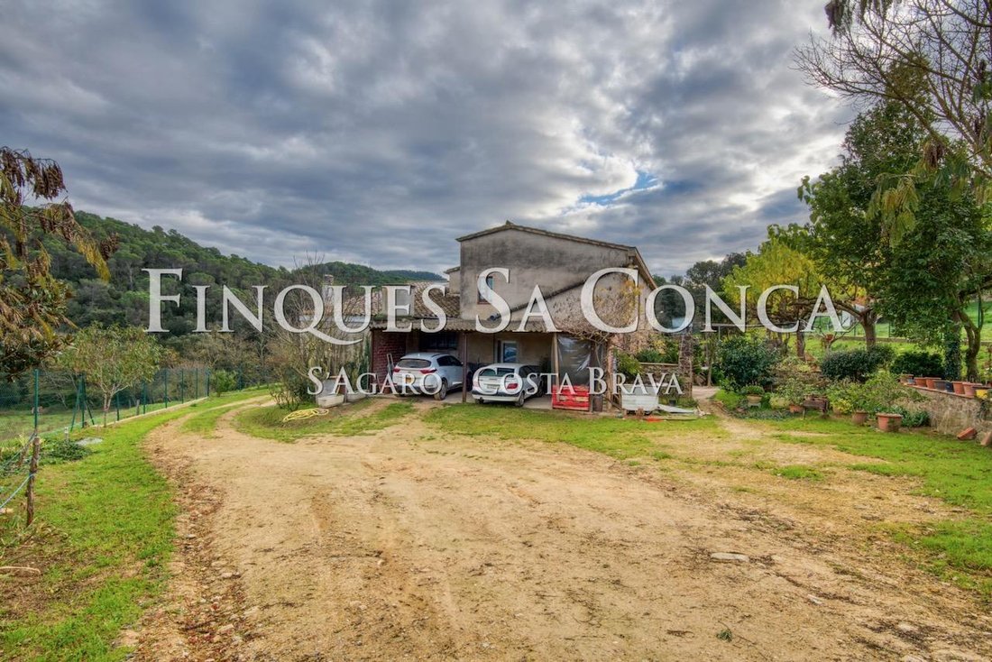 Finca in Spain 4 - 15942658