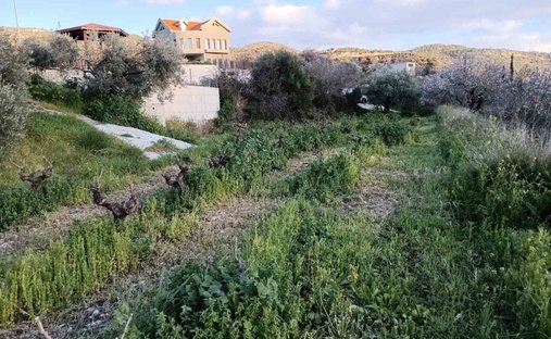 Land in Dhoros, Limassol, Cyprus 1