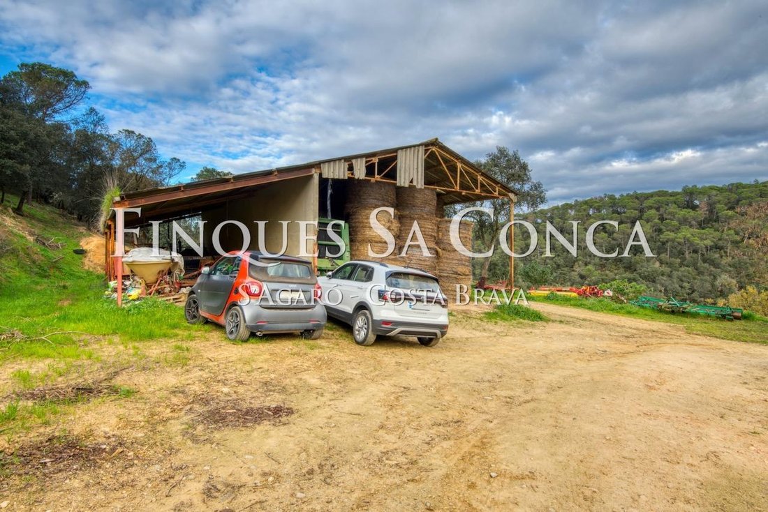 Finca in Spain 2 - 15942658