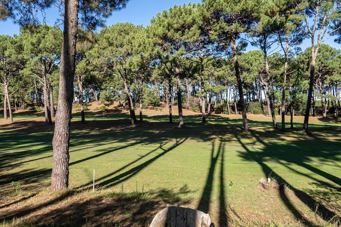 Land in Punta Ballena, Maldonado Department, Uruguay 2 - 18616949